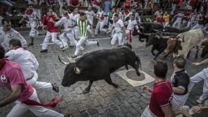 Encierro e Festa di San Firmino a Pamplona